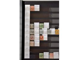 Afbeelding voor Auctions 242-243 - 1773