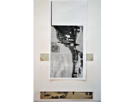 Image for Auctions 242-243 - 3253