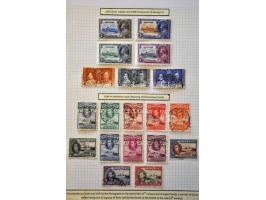 Bild für Auction 244 - 326
