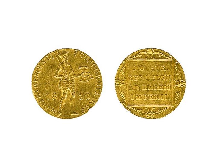 dukaat goud 1829 Sch. 213 zf