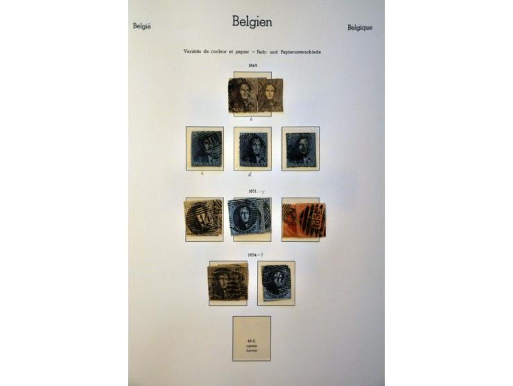 Image for Auctions 242-243 - 460