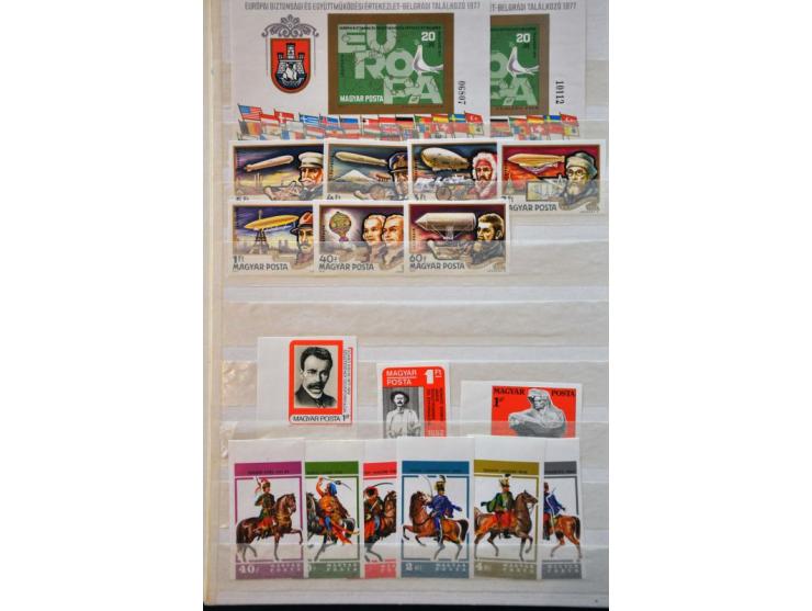 Afbeelding voor Auction 244 - 809