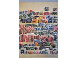 Image for 2018 maart - 4350
