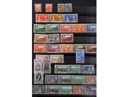 Image for Auctions 239-240 - 3641