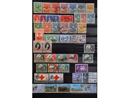 Image for Auctions 239-240 - 3641