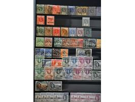 Image for Auctions 239-240 - 3641