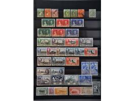 Image for Auctions 239-240 - 3641