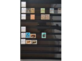 Image for Auctions 242-243 - 1080