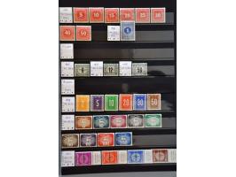 Image for Auctions 242-243 - 1080