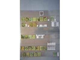 Image for Auctions 242-243 - 735