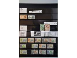 Bild für Auctions 242-243 - 751