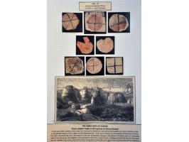 Bild für Auction 244 - 436