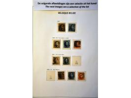 Image for Auction 244 - 480