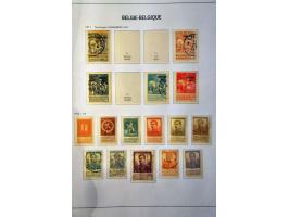 Image for Auction 244 - 480