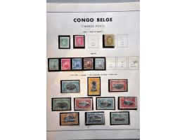 Bild für Auction 244 - 483