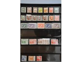Image for Auction 244 - 488