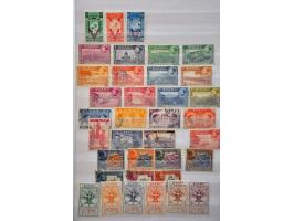 Afbeelding voor Auction 244 - 519